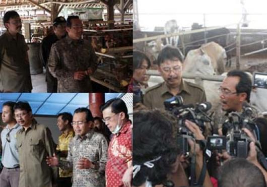 Kunjungan Kerja Menteri Pertanian ke Kabupaten Bogor